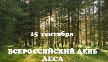 15 сентября 2026г.,  отмечается праздник – Российские дни леса.